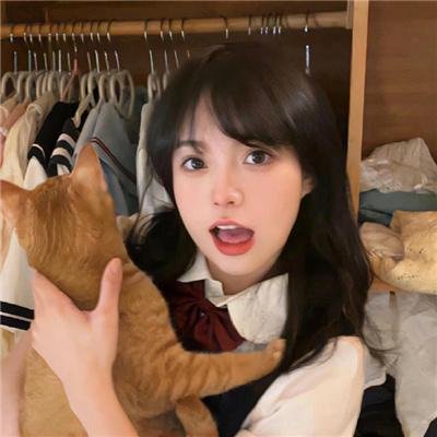 乌冬面之国的金色毛球