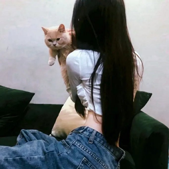 我能看到成功率第三季